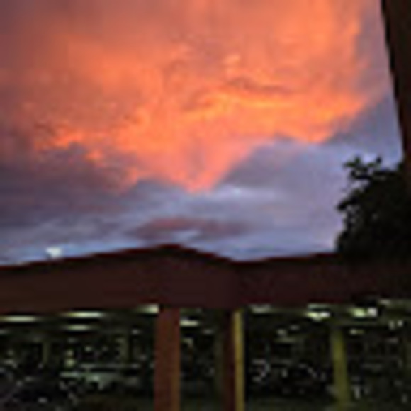 dalilacarreon
